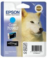 EPSON supplies Картридж Epson StPhoto R2880 c купить и провести сервисное обслуживание в Житомире и области