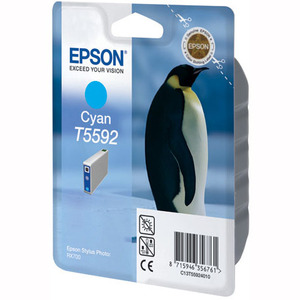 EPSON supplies Картридж Epson StPhoto RX700 c купить и провести сервисное обслуживание в Житомире и области