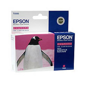 EPSON supplies Картридж Epson StPhoto RX700 m купить и провести сервисное обслуживание в Житомире и области