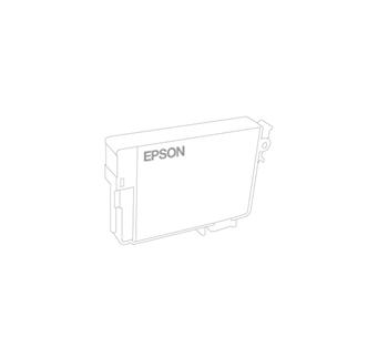 EPSON supplies Картридж Epson UltraChrome GS2 купить и провести сервисное обслуживание в Житомире и области